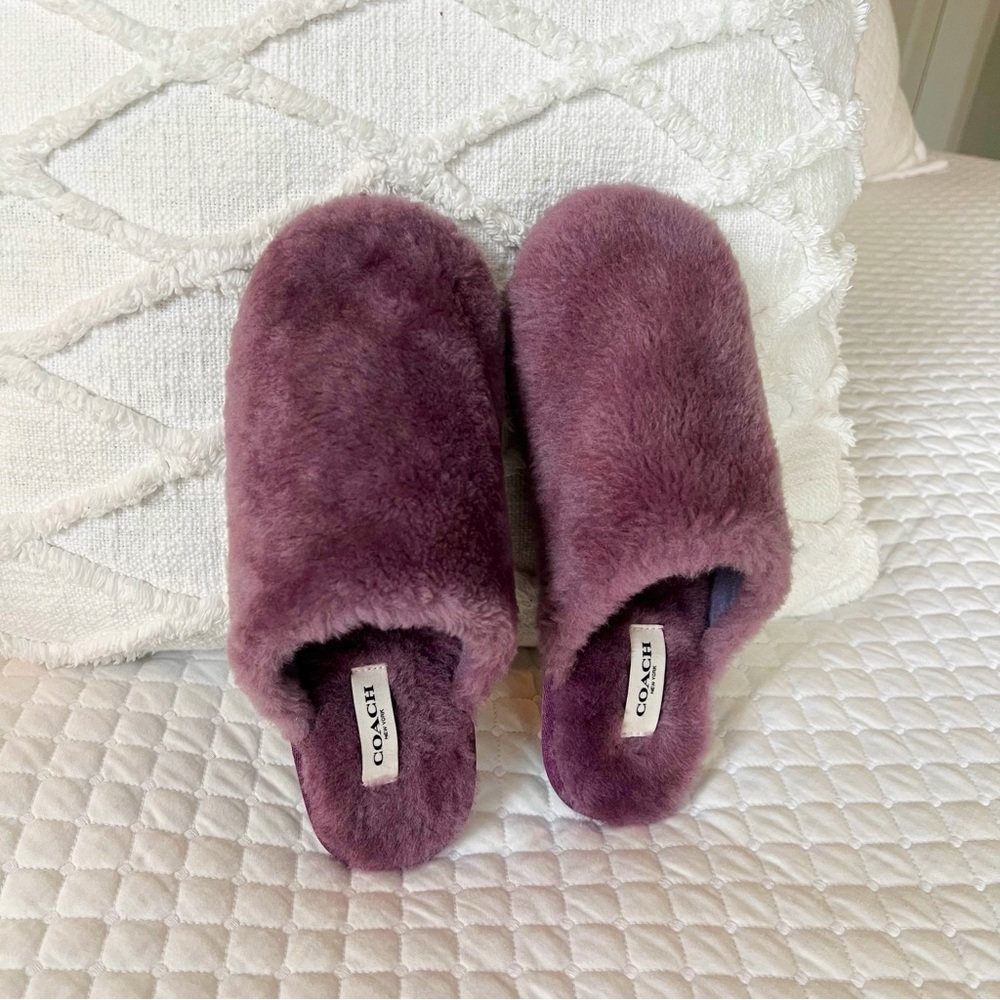 COACH ZENNIE SLIPPER IN SIGNATURE SHEARLING IN PURPLE